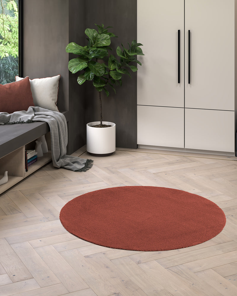 Sensation - 71351-013 - Rost